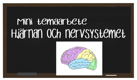 ninjabol.com|Om hjärnan ur Ninjakoll 1 .